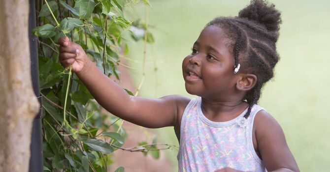 The Importance of Spinal Health for Overall Wellness