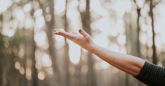 Shine Bright Counselling & Coaching Services